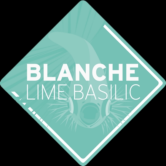 Blanche Lime & Basilic